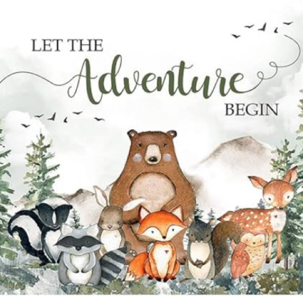 Woodland Animal Adventure Baby Shower or First Birthday Backdrop Like New